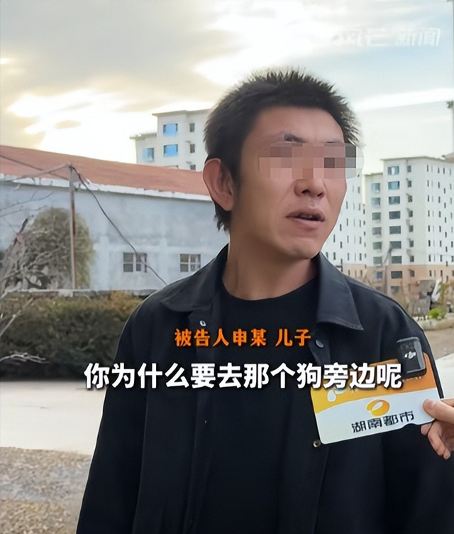 狗咬人新后续：申家儿子不在原因流出，原告曾对警方说打完架再谈