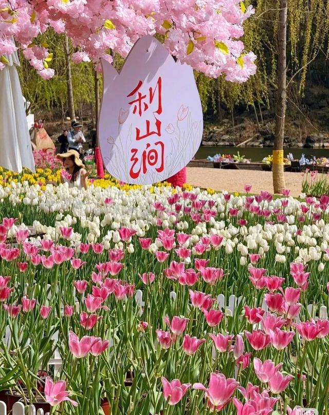 临沂春假旅行指南，请查收