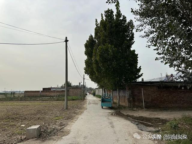 冠县乡韵·桑阿镇轧庄