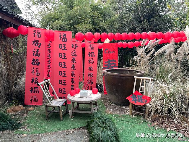 2026杭州西溪湿地“曲水探梅”正式拉开帷幕，来趟“梅”好约会吧