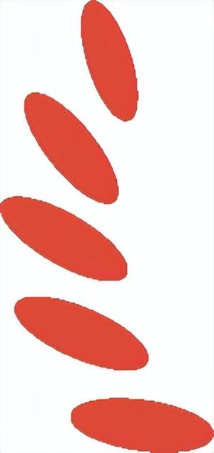 除了精彩赛事，河口的周末还能怎么玩？