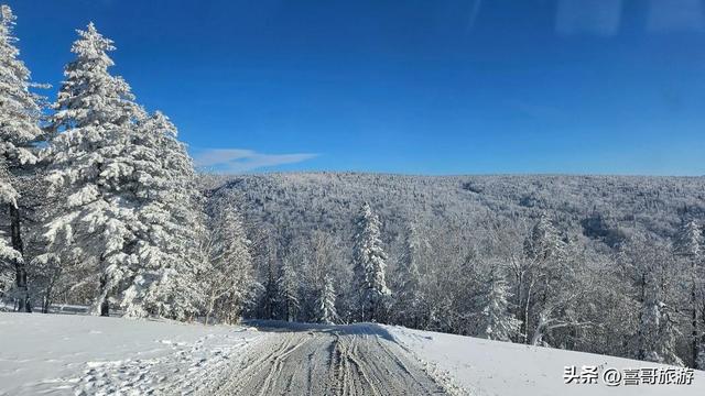 穿越林海雪原，抵达龙江之巅：大秃顶子山冰雪奇缘