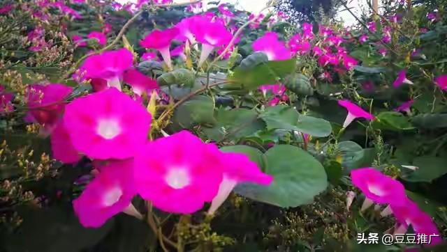 两性关系中，大多数女性害怕五十多岁的男性	，原因无非是以下几点