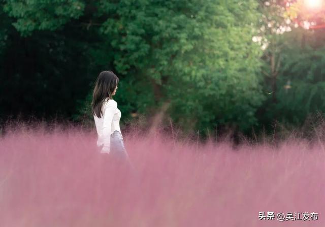 周末去打卡丨太好拍~东太湖绝美机位，“框框”出大片！