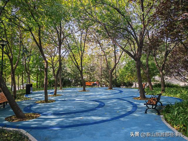 泰安：环山路一个“口袋”公园，藏着名泉秘密，对面有个神奇景观