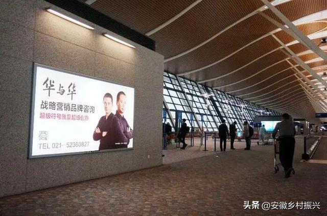 老登们，集体不行了
