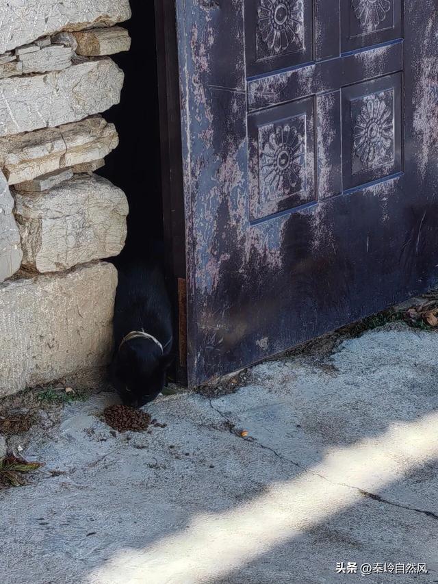 雪后初霁登顶嵯峨山，走荒野雪原，看千年悟空塔，感受历史的烟云