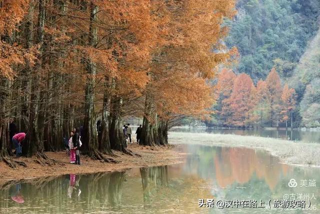 龙池秋色惹人醉
