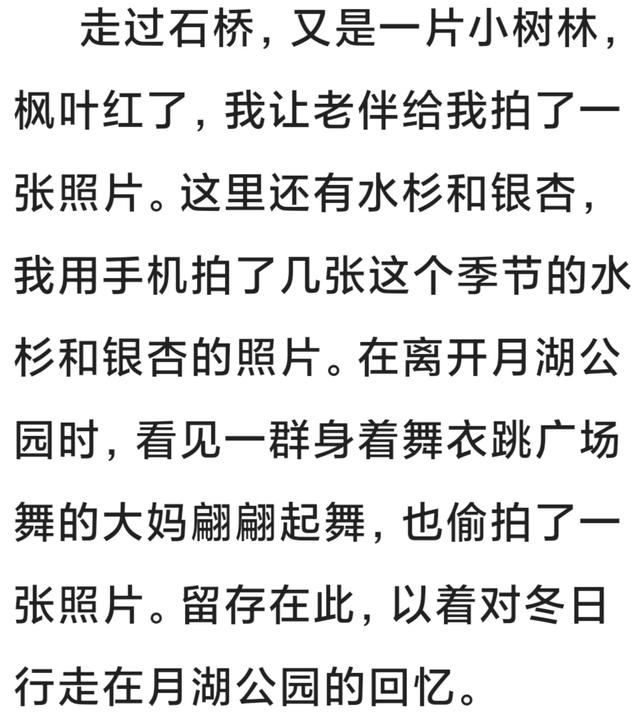 行走在月湖公园