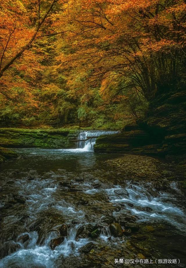 汉中这处红叶已进入最佳观赏期