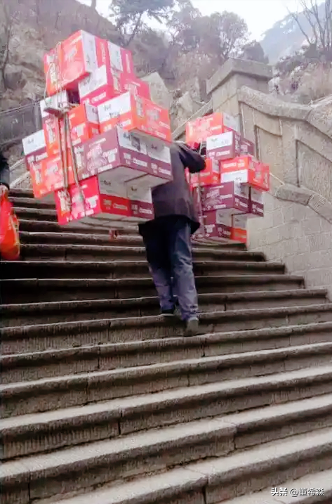 大家都在夸无人机时，老君山却为挑山工保留了最体面的岗位