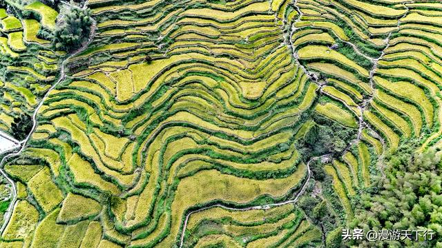 浙江自驾游跨越冀鲁苏浙四省，往返旅程占一半时间，全程收获满满