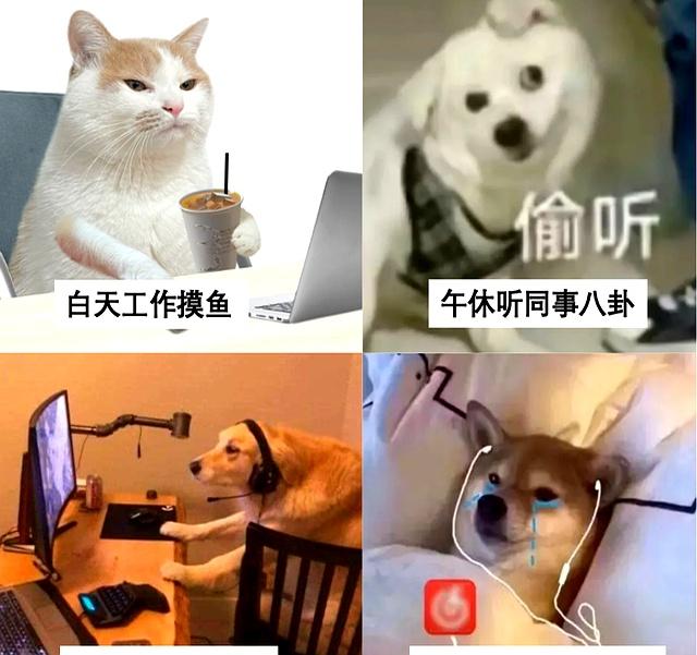 单身至今的人，究竟做对了什么？总结8个单身小技巧！