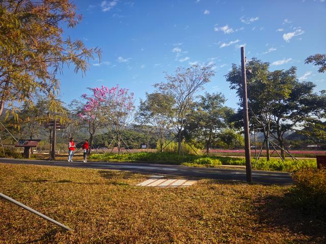 从丽康路穿荔园溪谷至西丽湖绿道骑行随拍