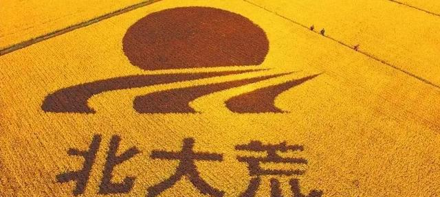 越南33万平方公里，年产4340万吨大米，黑龙江面积47万	，产多少？