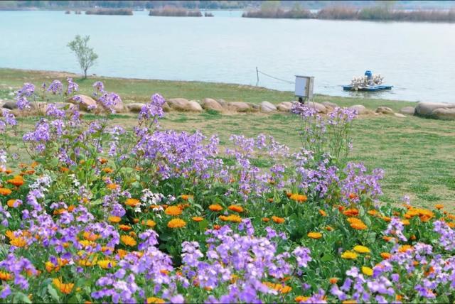 合肥版“赛里木湖”火了！好多人打卡