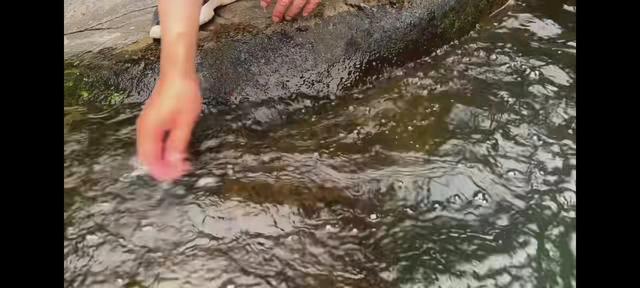 东阳夏日玩水地图:清凉一夏不花钱