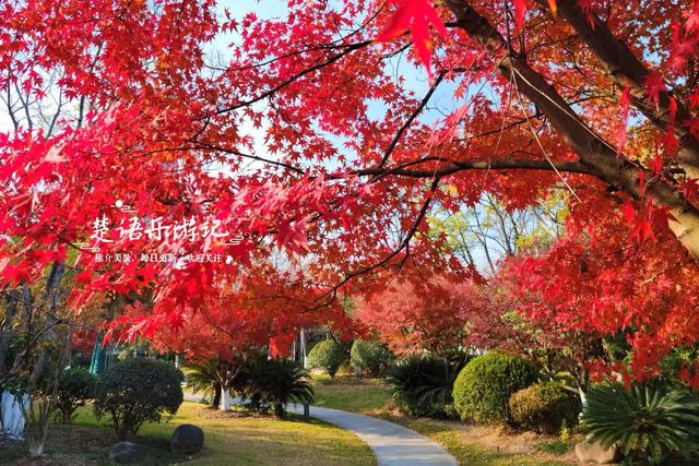 浙江宁波的绝美风景，犹如多彩的田园风情画，拍照与休闲都是一绝
