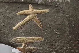 全民猜猜！韩国出土千年陶器，刻有汉字“大王”？评论区答案妙哉图片
