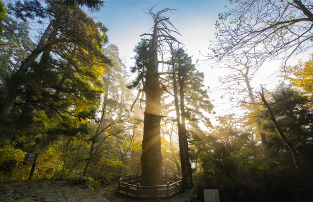 “浙里名山上海行”即将启幕，20座名山携生态好礼赴约上海滩