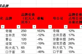安徽6家企业上榜图片