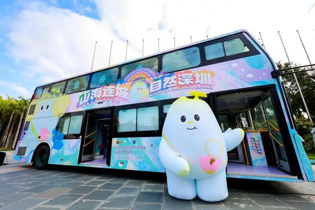 2025国际红树林之夜启幕，邀您共赴生态盛宴！