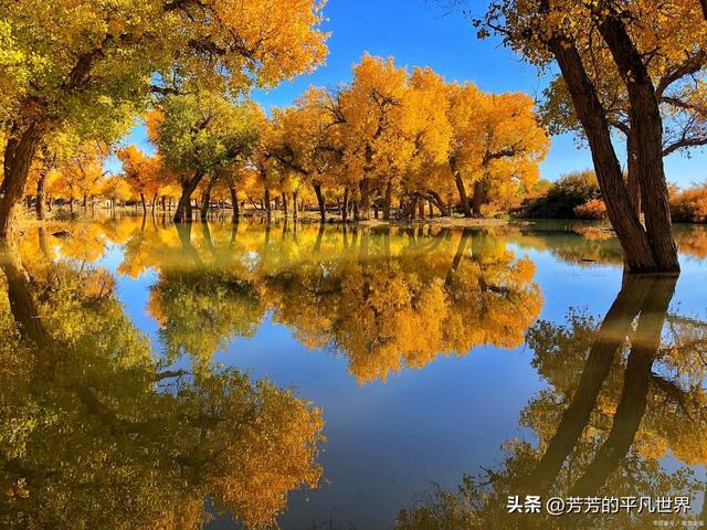 北国三色：秋日里的交响乐