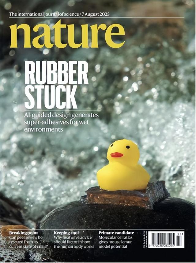打破校史：中国文科大学教师，首次在Nature发文并刊登Nature封面