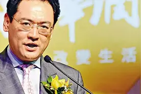 情妇引爆，华润教父宋林的贪腐往事图片