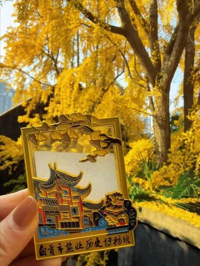 【美丽四川】一年一度朋友圈银杏比美时刻又来了！