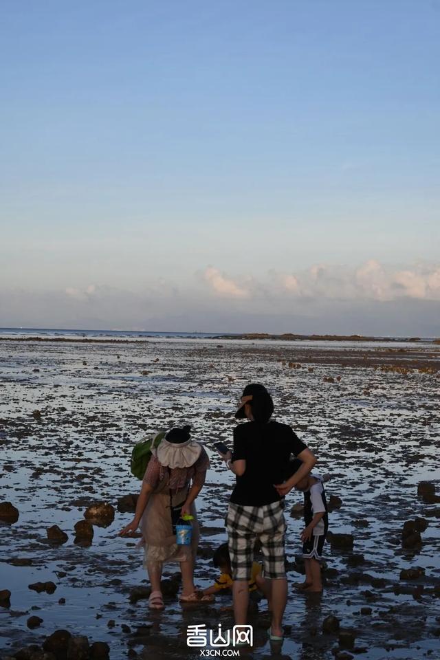 珠海赶海地图出炉！这些宝藏海滩，火爆了！