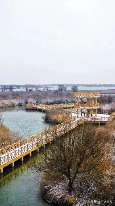 好客山东好品山东｜初雪来了！山东变山“冬”