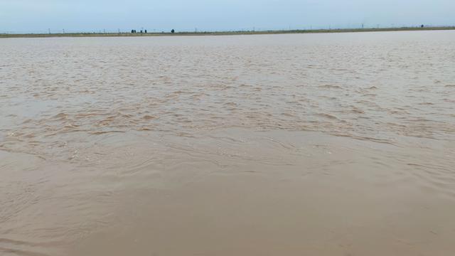 包头城南靠近黄河的昭君湖，也叫小白河景区，黄河浩渺，湖平如镜