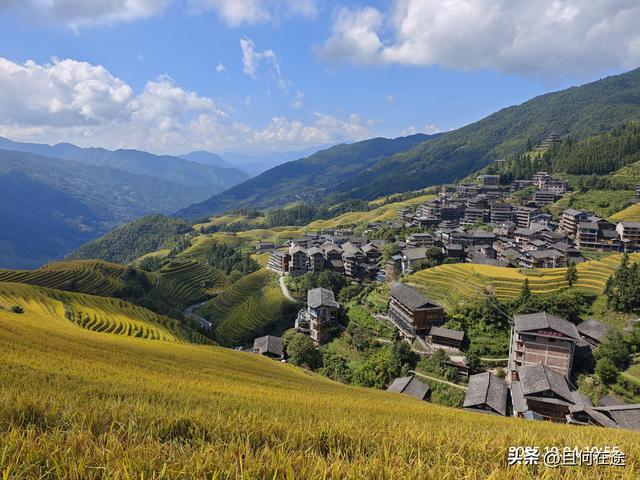国庆期的龙脊梯田，即使是用老人机，也能拍出最动人的秋景与秋色