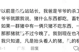 为什么抬头看人的猪死的极快？网友：再不杀它死的就是你图片