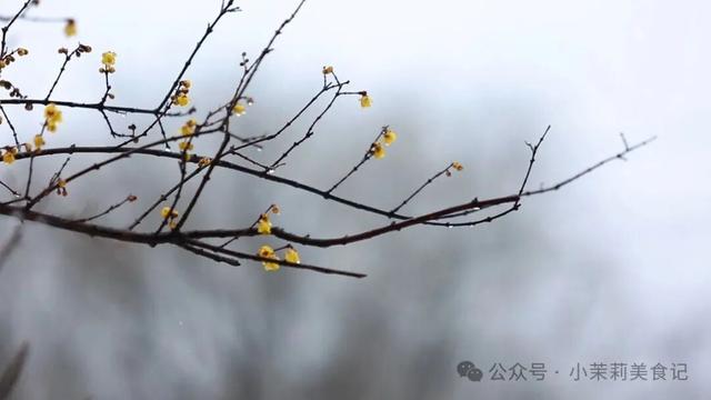 今年“数九”时间表来了？哪天入九？春节在几九？过年还冷吗，早了解