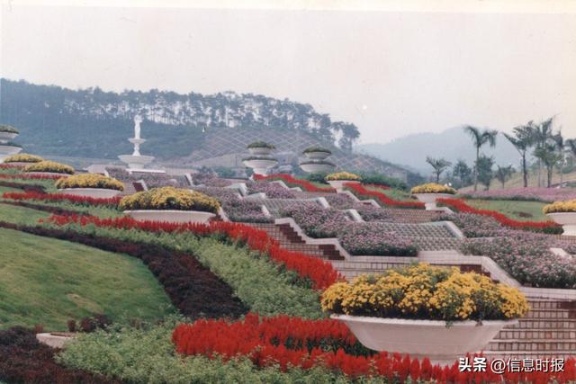 不负花城三十年 云台花园更璀璨