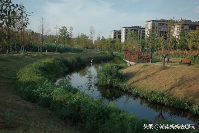 长沙人有自己的“东方明珠”？初秋，带娃往高处去！