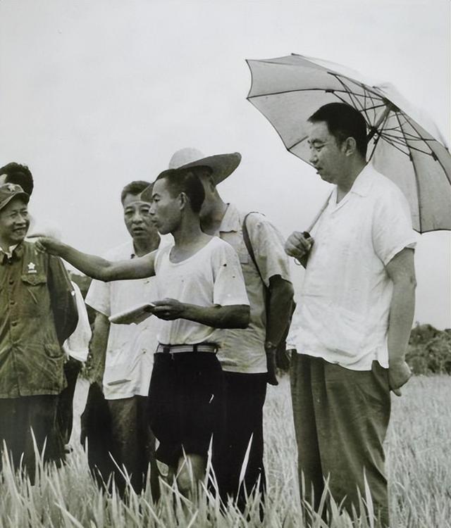 华国锋的夫人韩芝俊有多美？1961年的全家留影，30岁她端庄贤惠