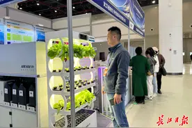 武汉服务外包综合创新能力居全国第5图片