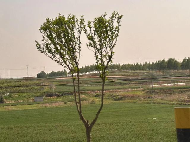 总投资过百亿，街道干净设施齐全，沦为空城，山东这地值不值得来