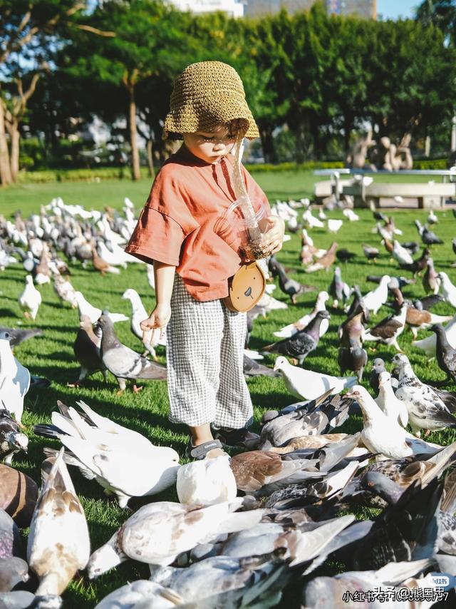 春节游玩建议去厦门。