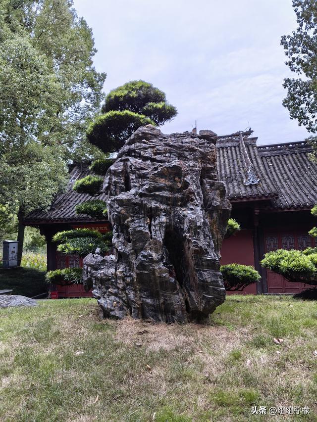 桂香袭来，在秀湖公园闻花香，读一读杜甫的诗，在亲水步道走一走