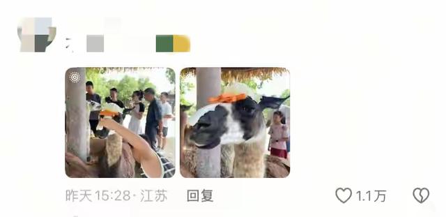 笑不活了 国庆假期结束 动物园里的动物成了第一批“受害者”