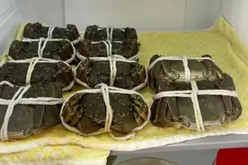 保存螃蟹时，直接放冰箱是大错！蟹农教你2招，放一周也肥美鲜活图片