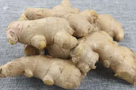 生姜保存有窍门，姜农老板教我一招，放一年不干不坏，越放越新鲜图片