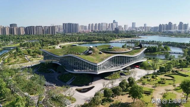 “乡”遇奉贤·金海街道篇丨在这里一天“穿越”大唐与三体，还能躺平看落日