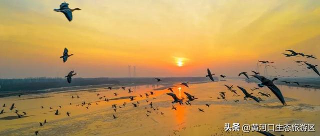 【黄河口生态旅游区】8月8日奥运冠军即将空降黄河口！超燃日程抢先看！