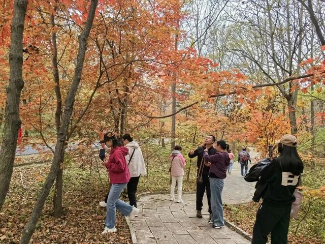 枫染渤海·秋韵敦化丨秋日文旅好戏连台，双节盛宴点亮全域体验
