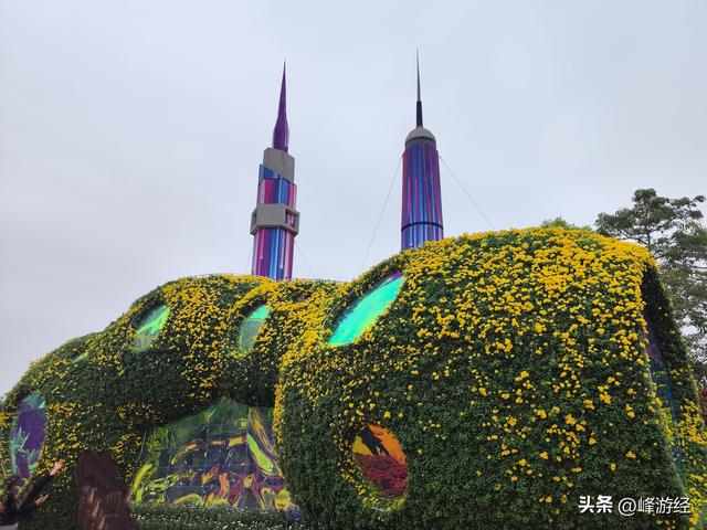 逛小榄菊花会，百年非遗绽新姿，寻味菊花特色美食